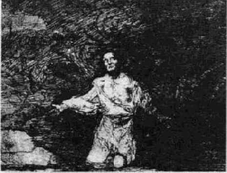   (17461828) 